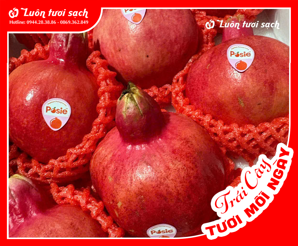 Lựu ruột đỏ Trung